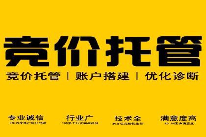 攻略解析：如何利用百度推广抢占市场份额